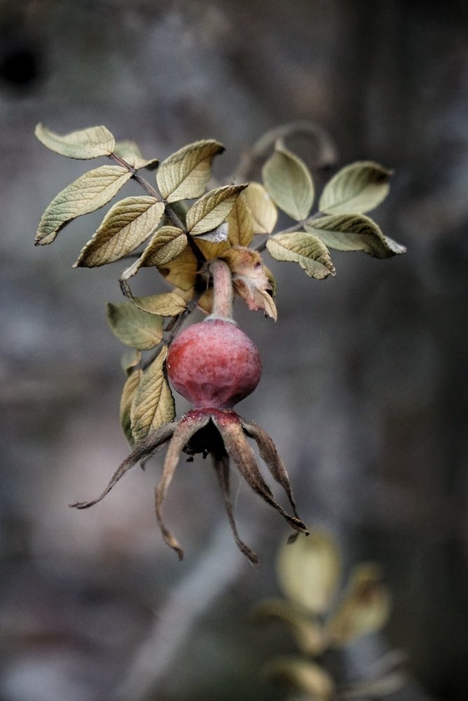 Photograph by Ольга Гончарова