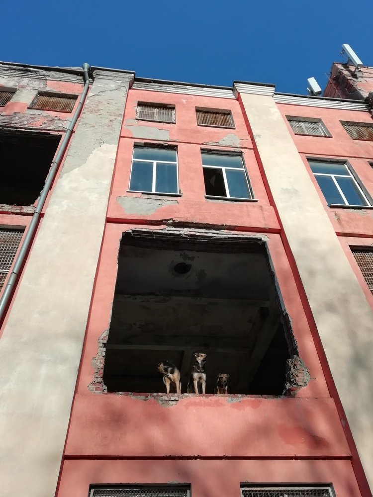 Патруль времени