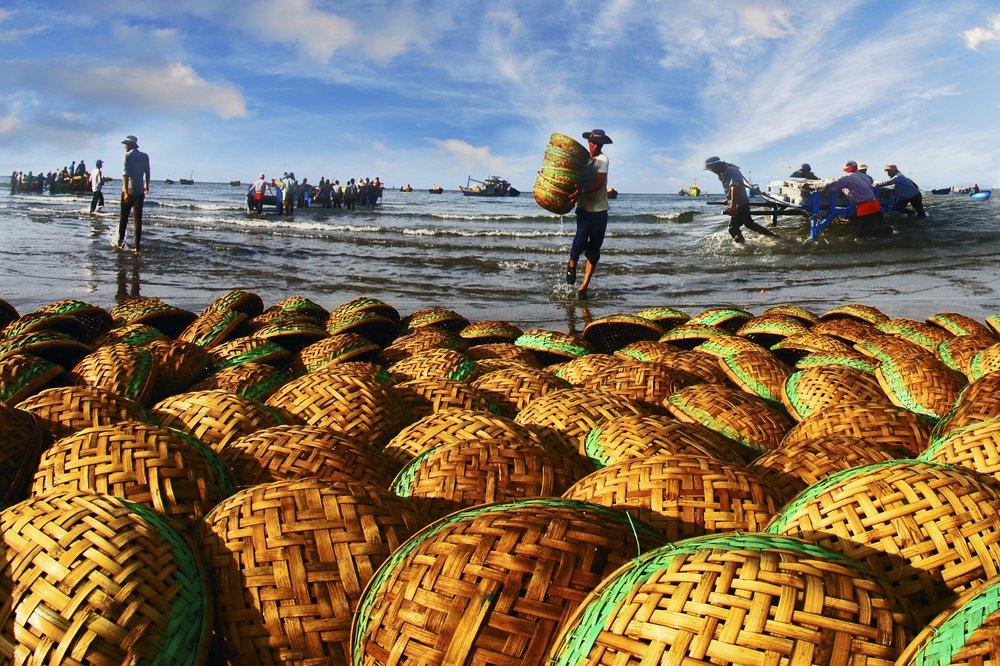 Photograph by Vy Van Bui