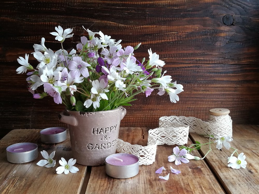 Photograph by Галина Щипакина