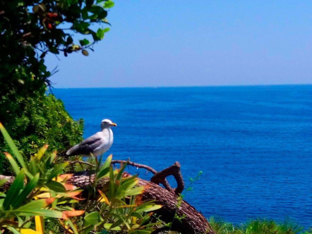 Photograph by Наталья Басова