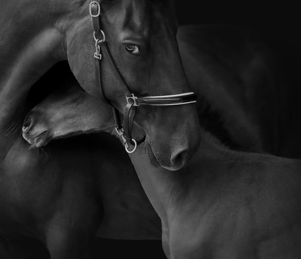 Photograph by Vera Konstantinovskaya