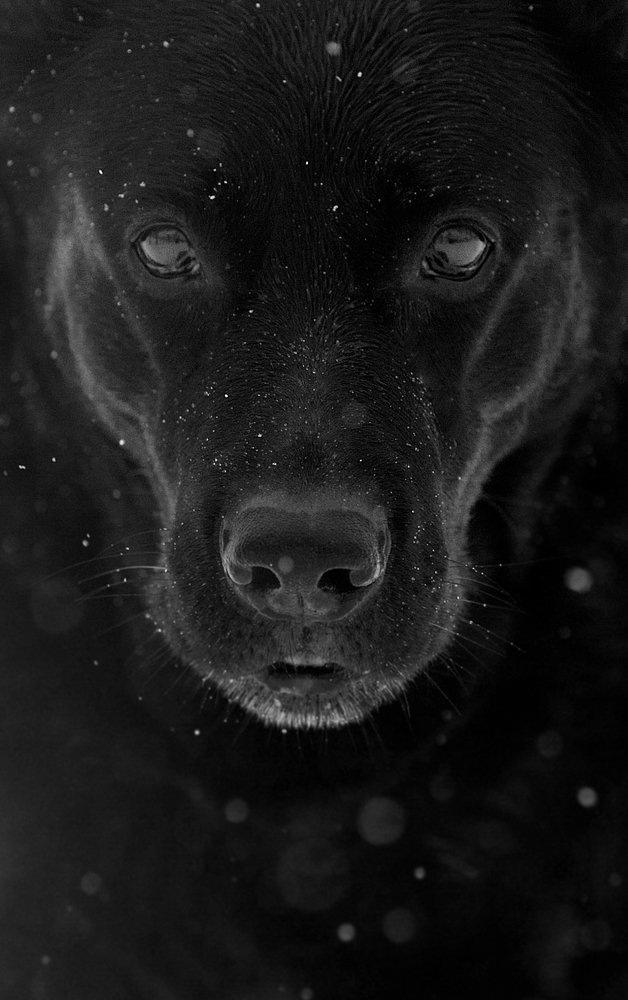 Photograph by Vera Konstantinovskaya