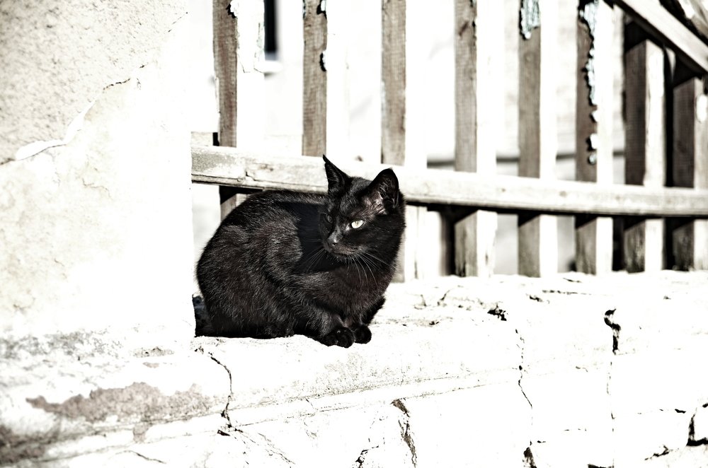 Photograph by Андрей Скорик