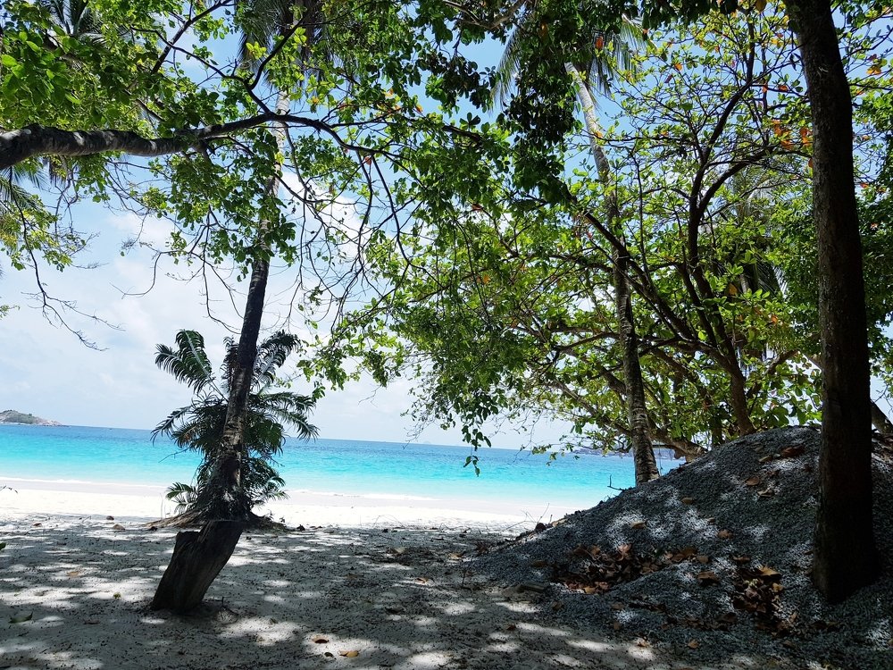 Photograph by Moi ling Jong