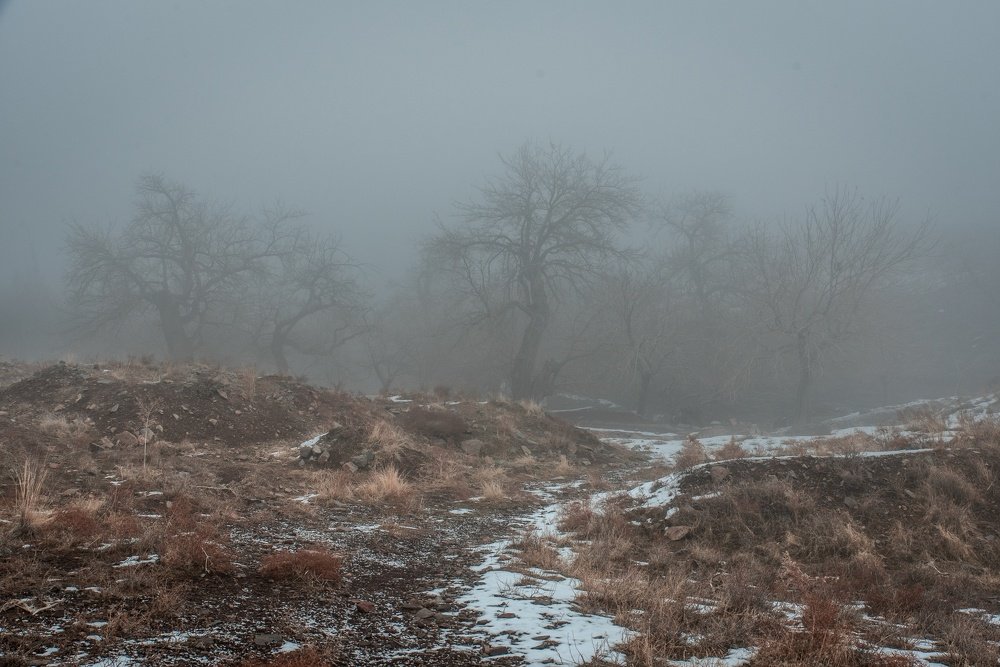 Photograph by ali yeganeh