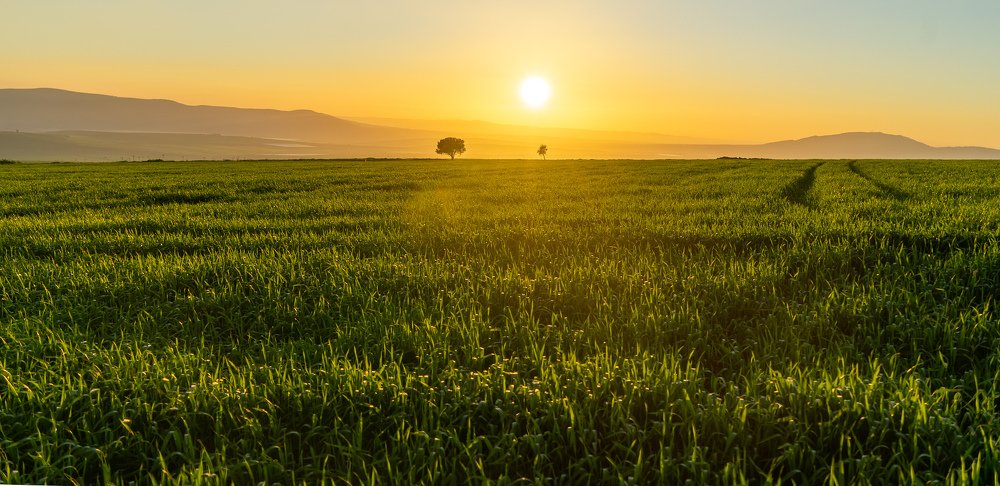 Фотография автора Pavel Bernshtam