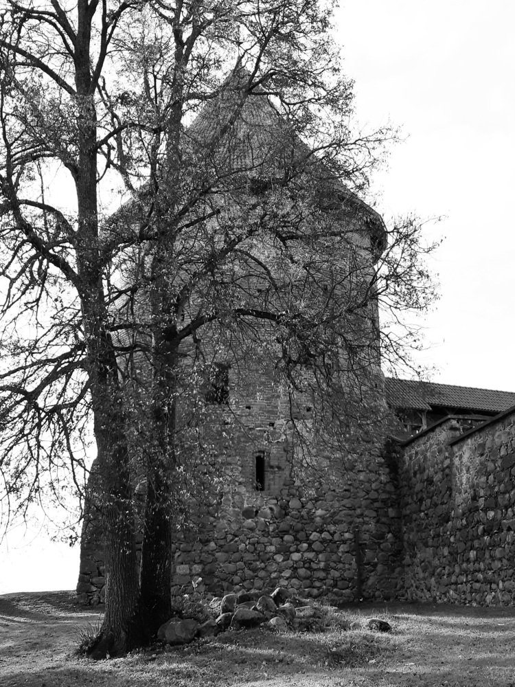 Trakai castle