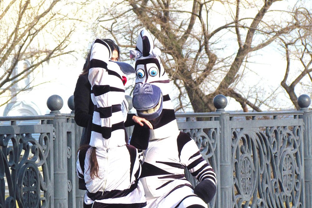 People in zebra costumes surrounded the girl. Close- up, reportage