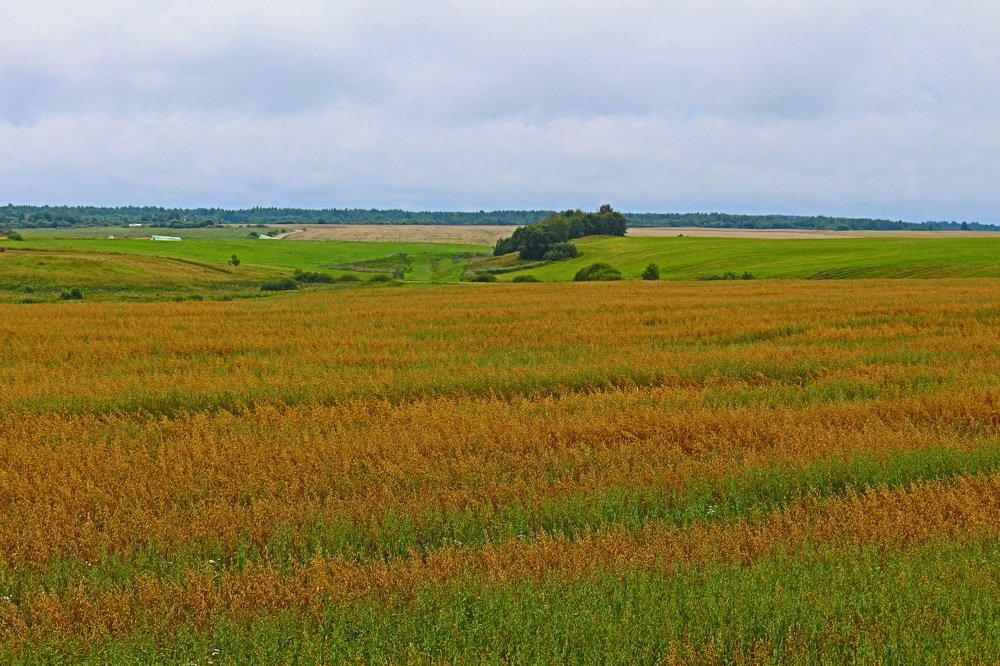 Photograph by Анна Свиридова