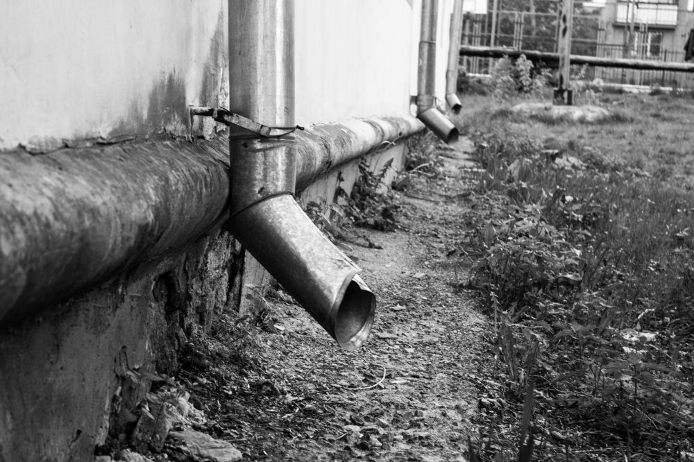 Photograph by Алексей Журавлёв