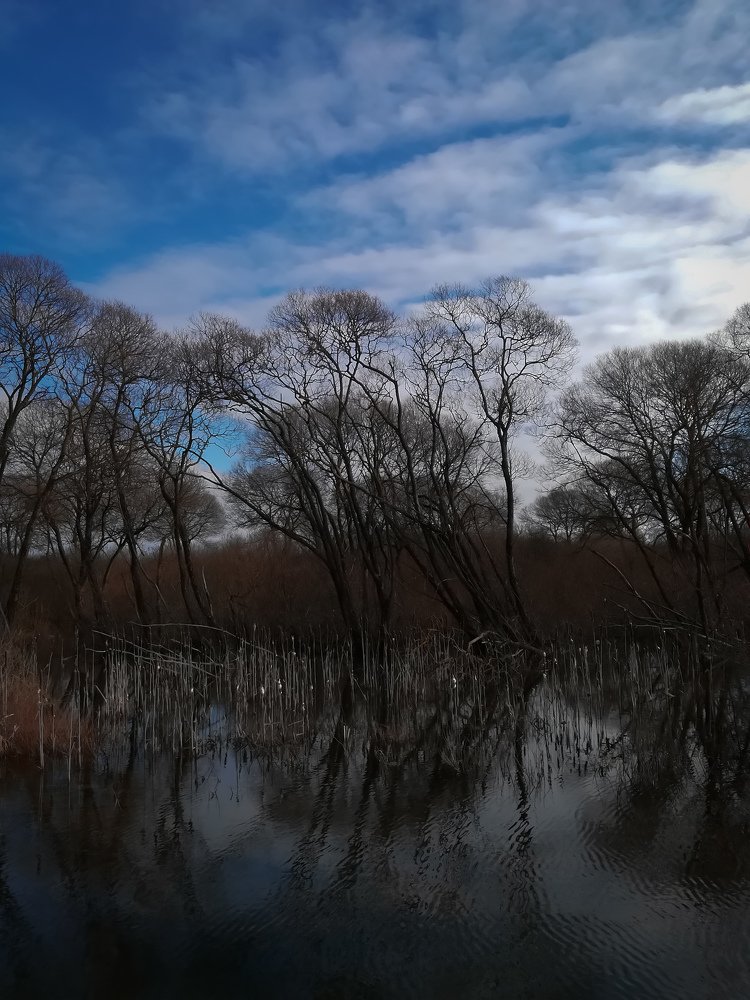 Photograph by Rybakova Alena