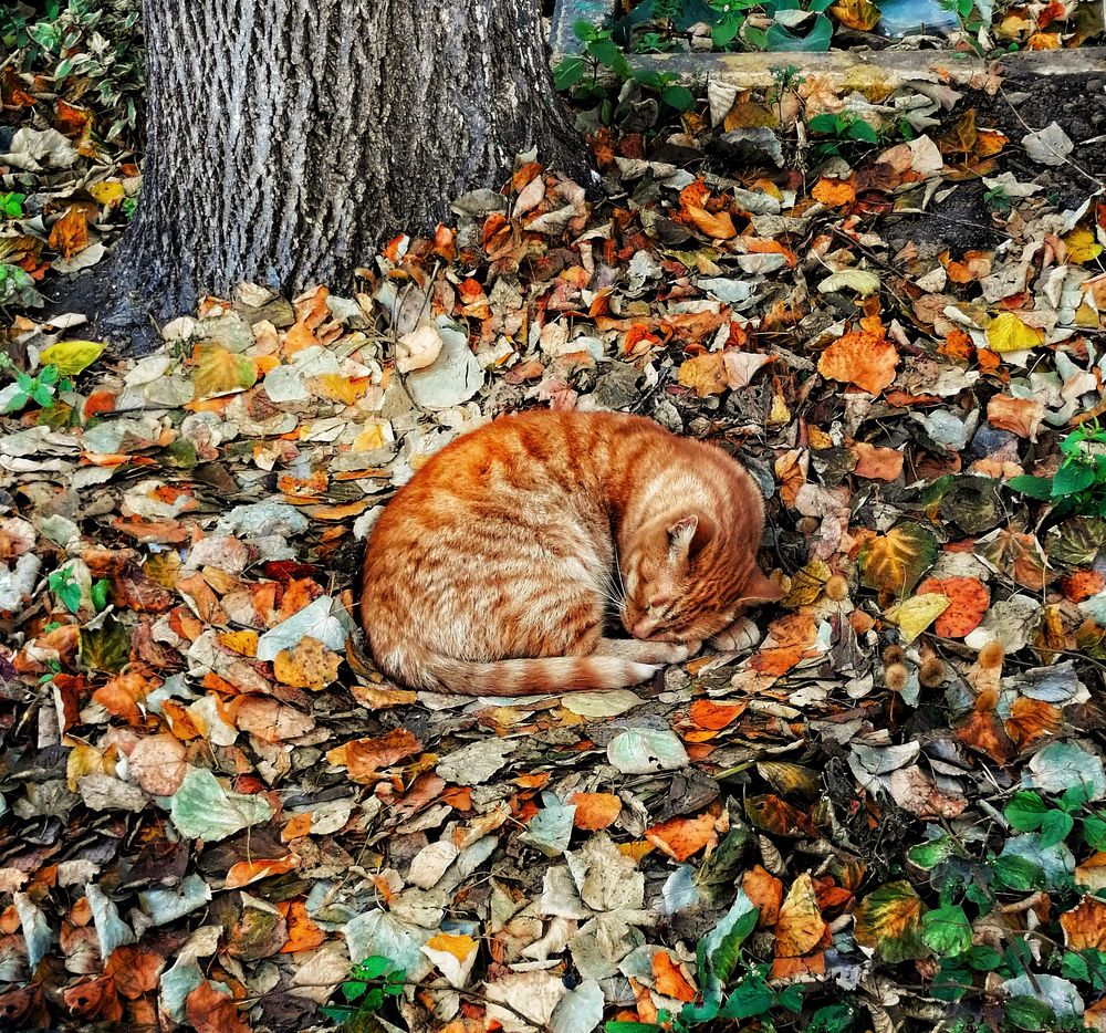 Photograph by Елена Вакумова
