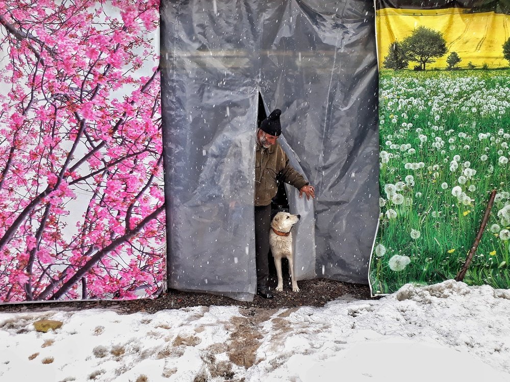 Photograph by ali asghar feizollahi