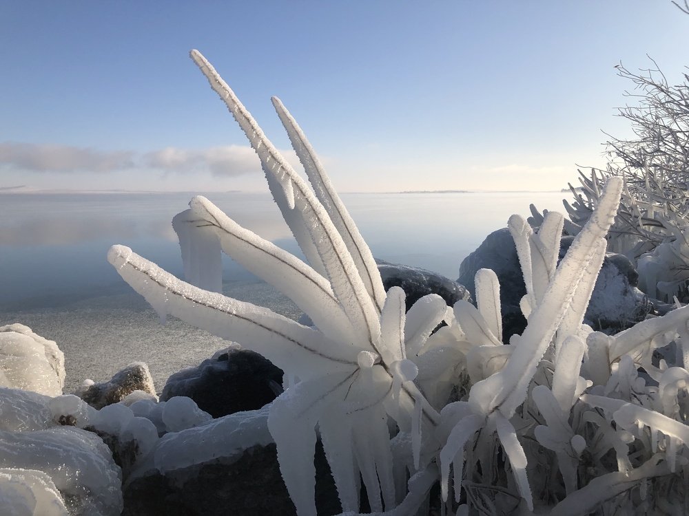 Photograph by Илья