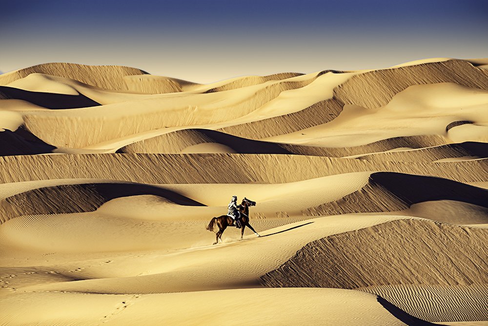 Photograph by Hani Almarhoun