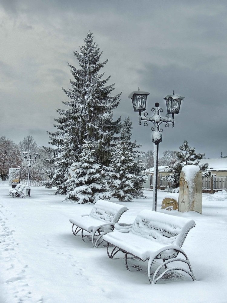 В городском саду...