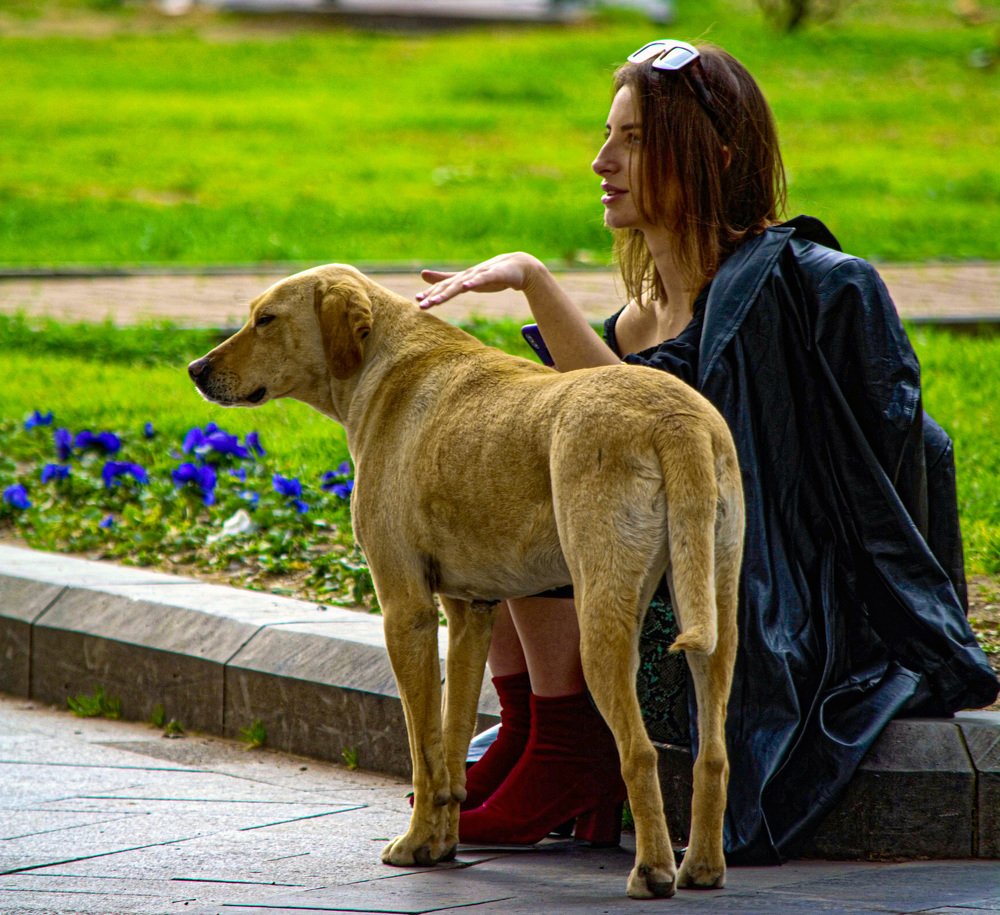 Photograph by vladimir khukhunalshvili