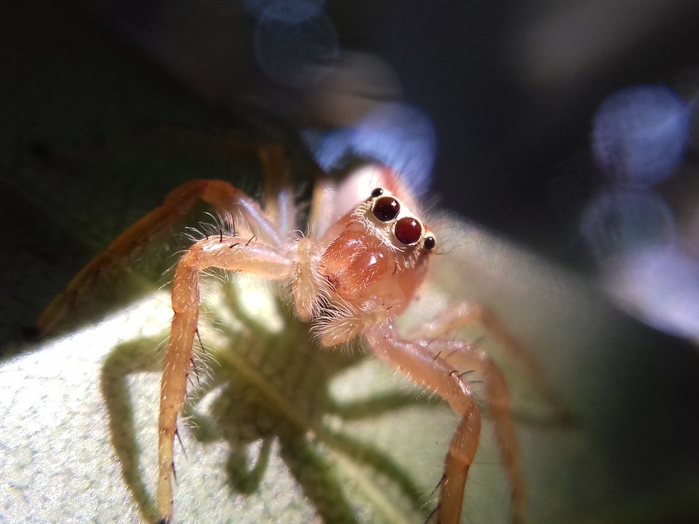 Photograph by Radhyeshyam Majee