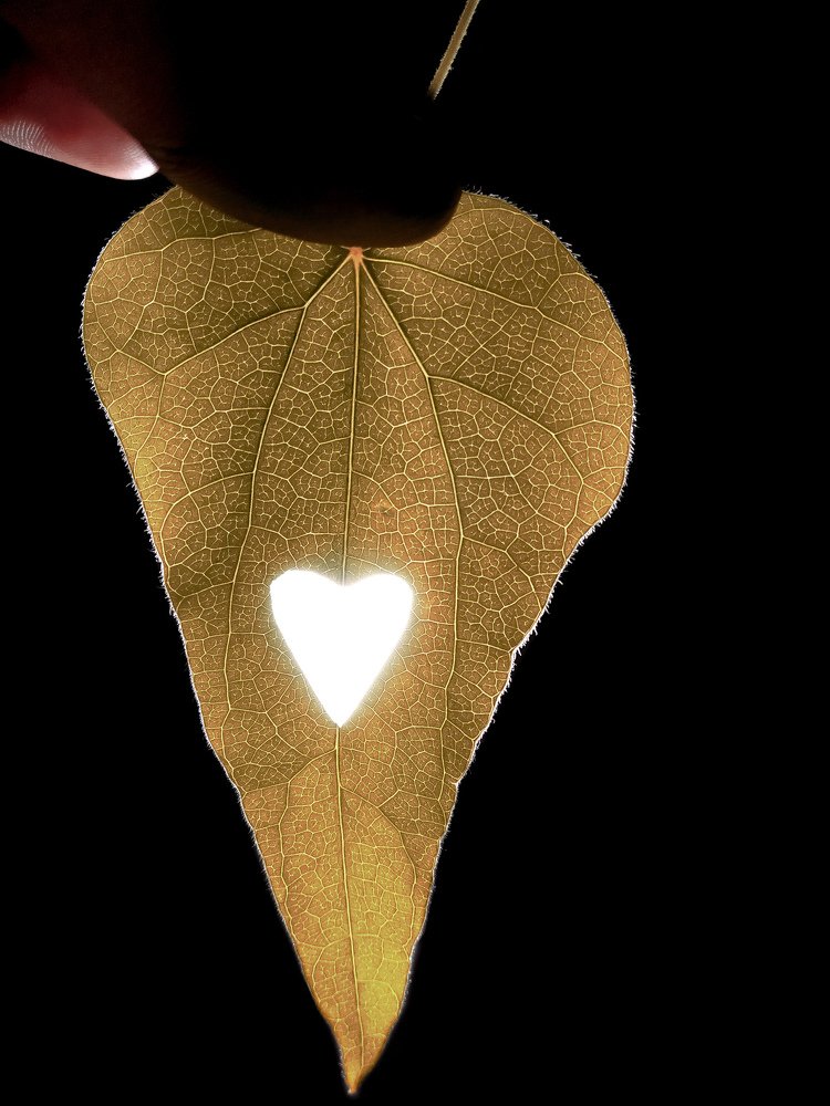 Photograph by Herald Jaison