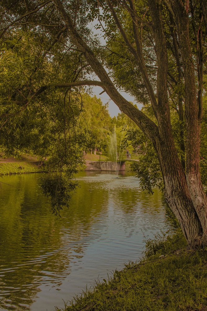 Photograph by Александр Афанасьев