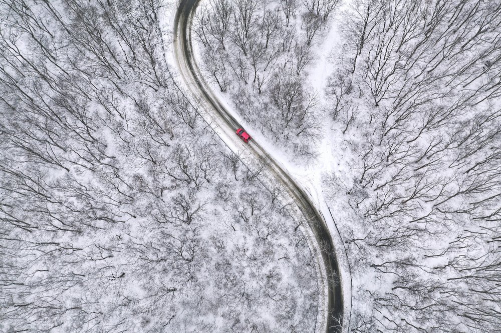 Красный / Red