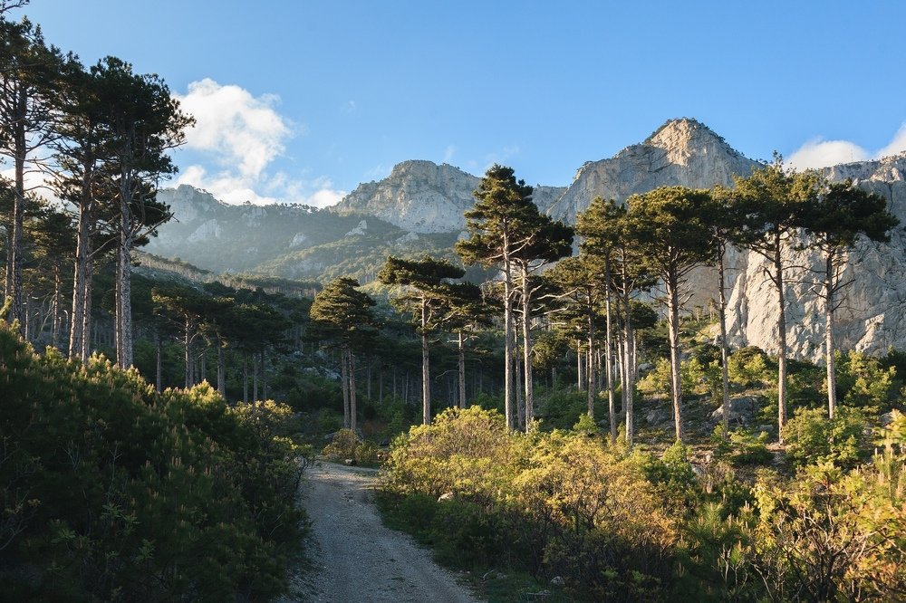 Вечер у Шаан-Кая