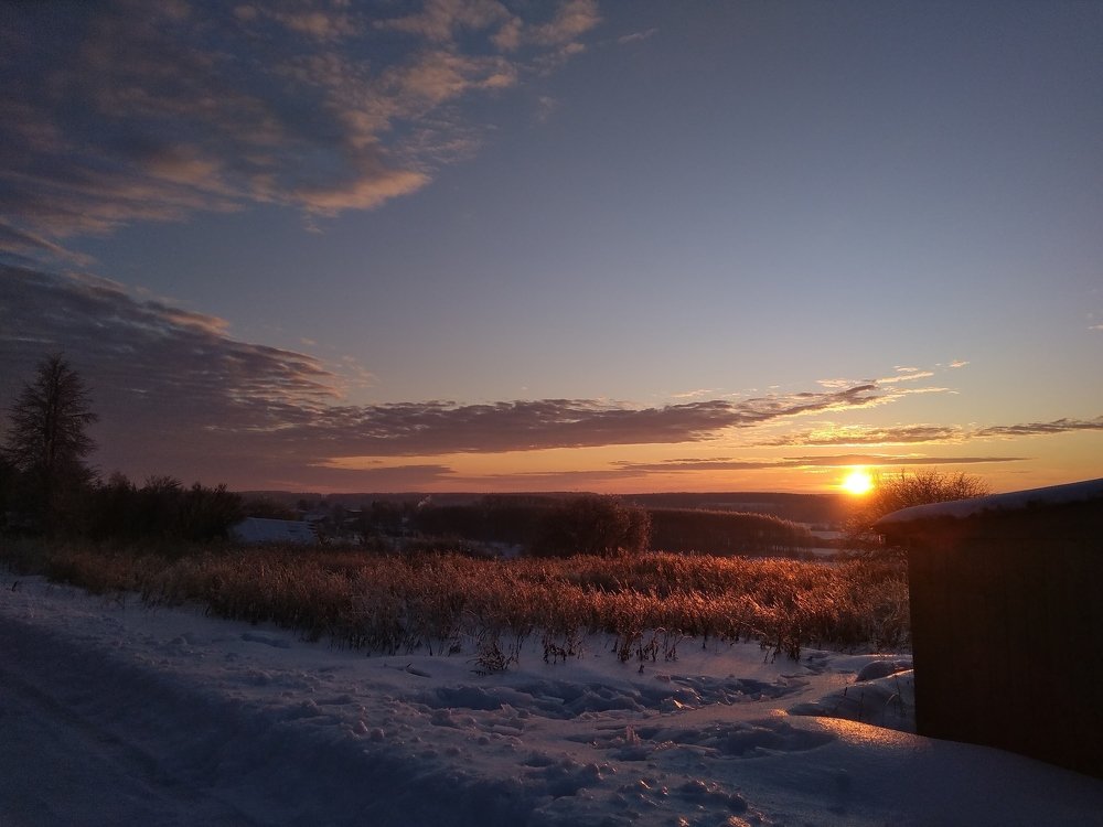 Photo #4473039