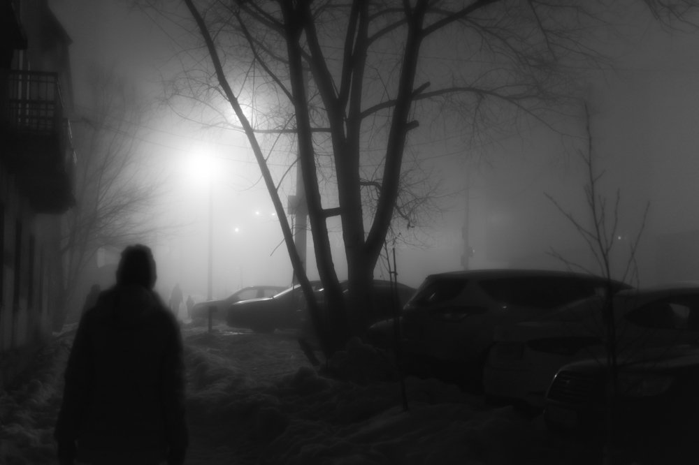 Прохожие в зимнем тумане...