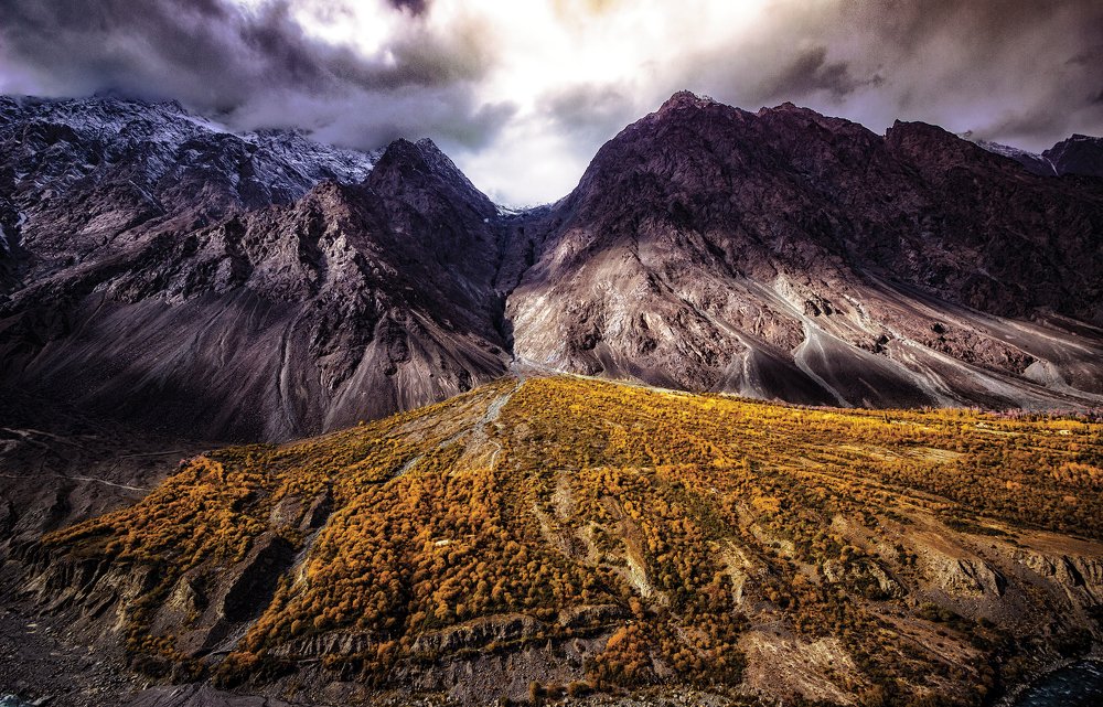 Фотография автора Fawad Hashmi