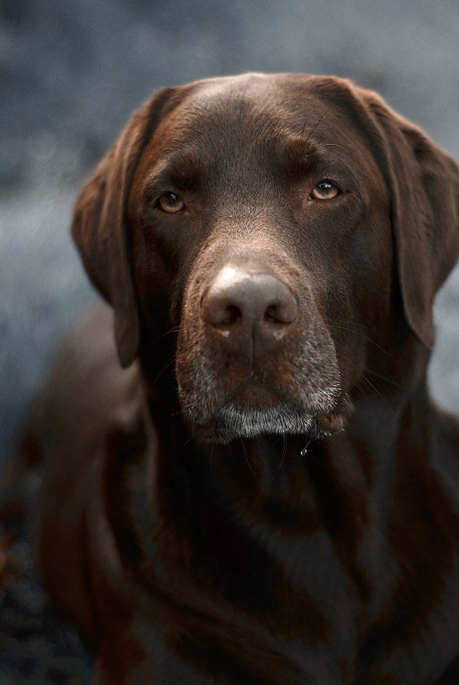 Photograph by Соколова Елена