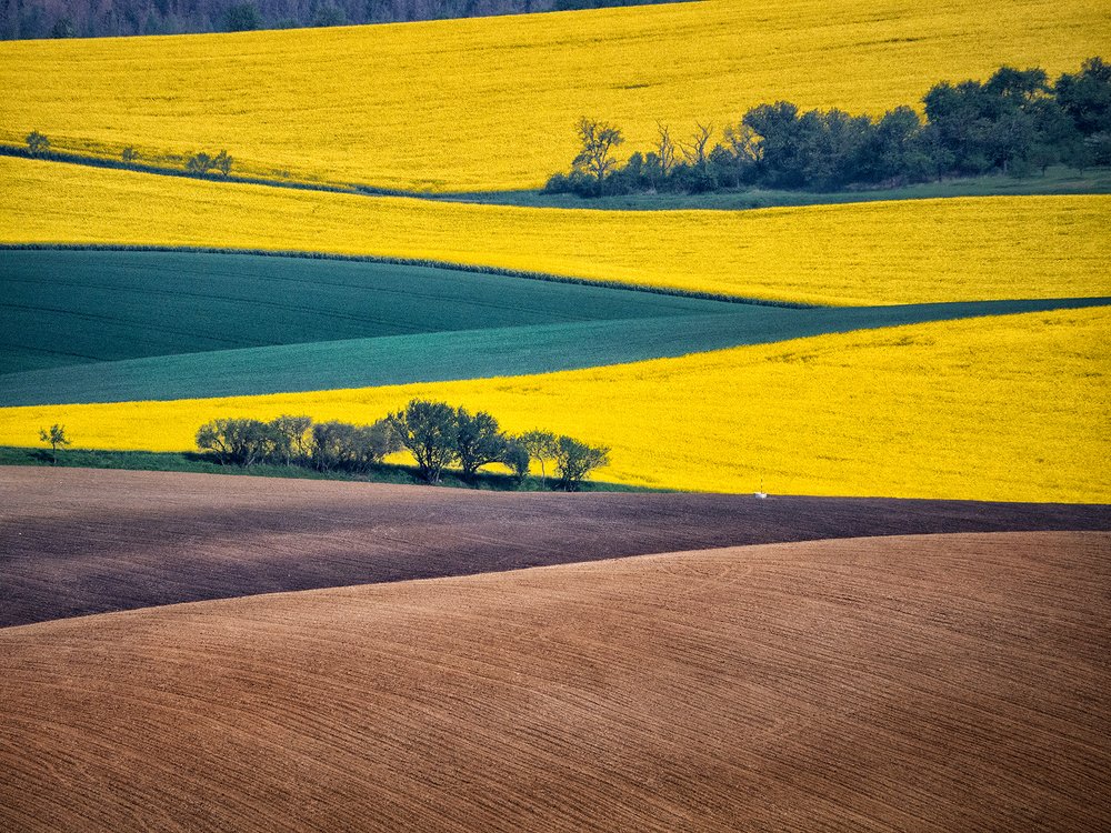 Photograph by Светлана Михалкова