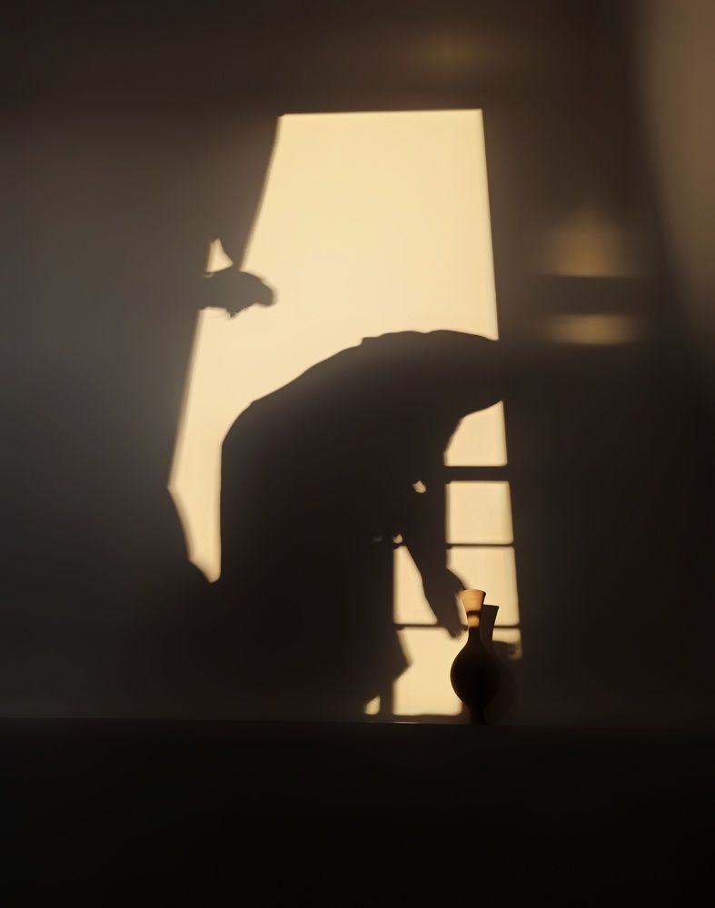 Photograph by Milad qazi