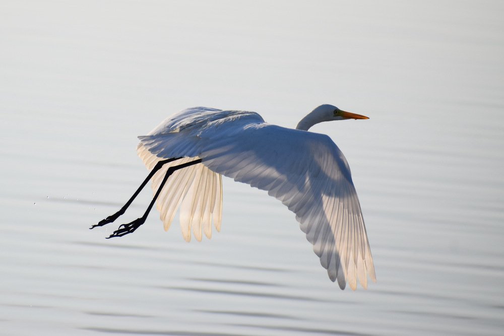 Photograph by Suyothami