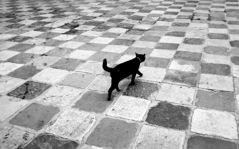 Photograph by Жанна Валиева