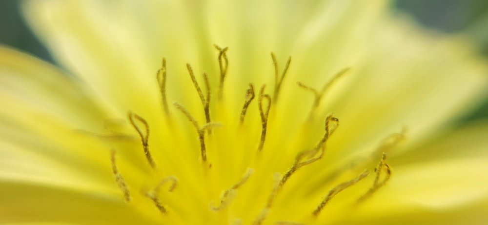 Photograph by Tariq amin Mansuri