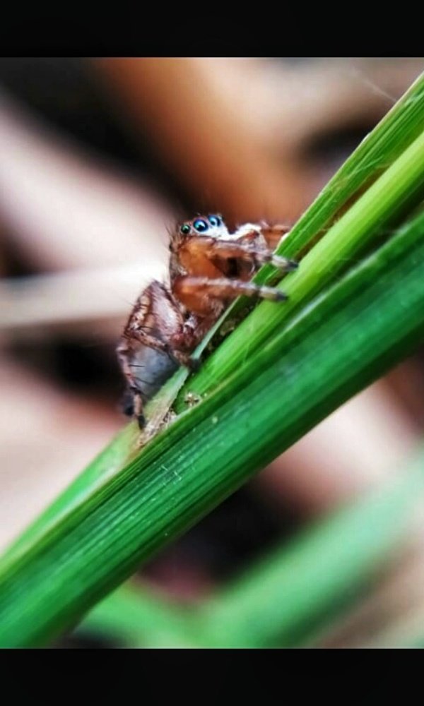 Photograph by Tariq amin Mansuri