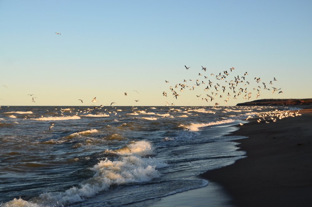 Photograph by Galina Baranovskaja