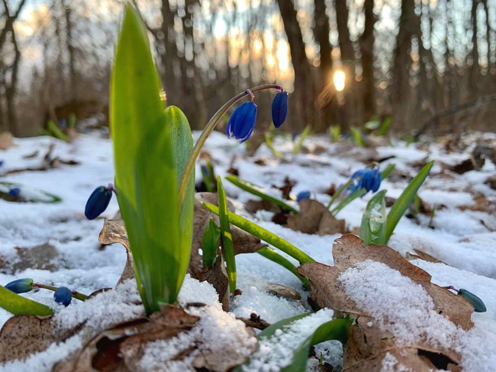 Photograph by Natasha Efanova