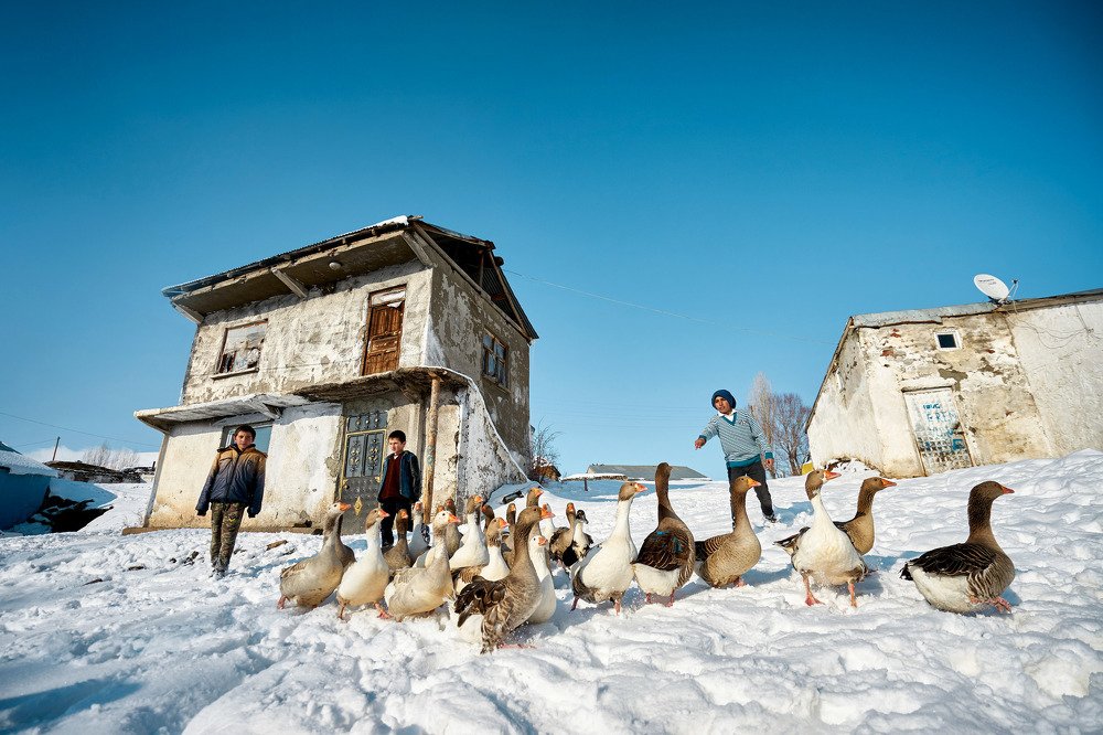 Photograph by hakime küçük