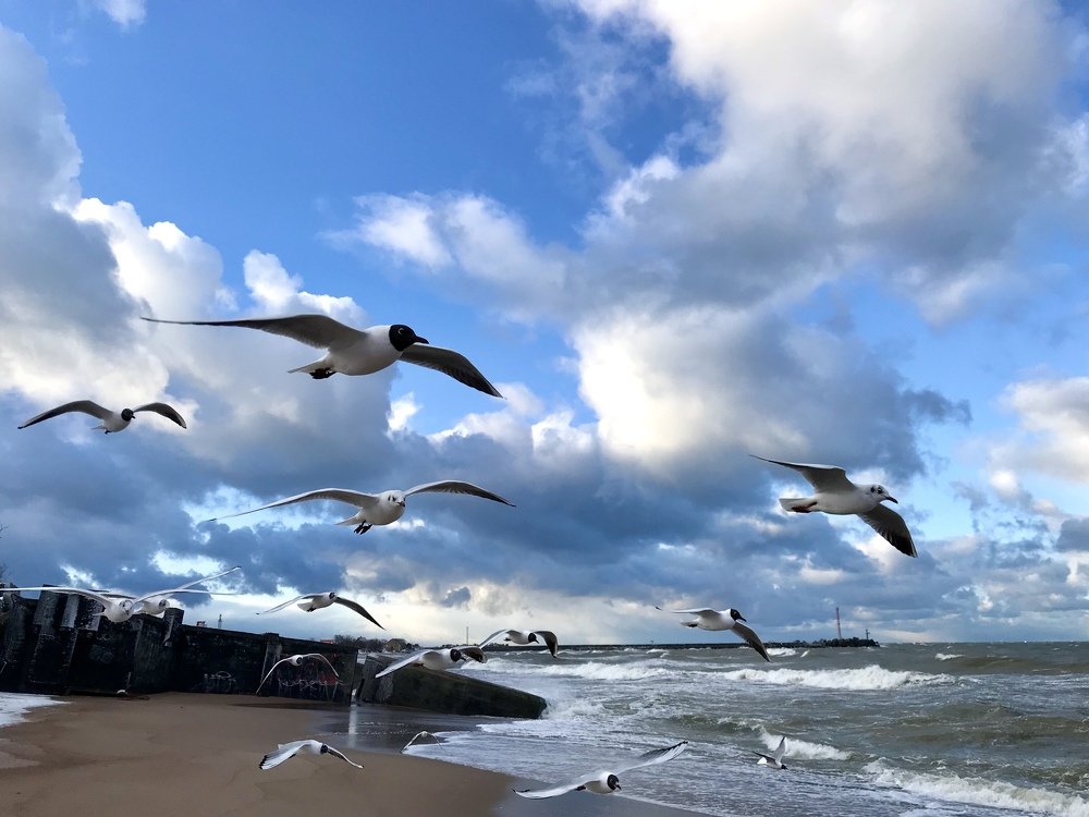 Photograph by Galina Baranovskaja