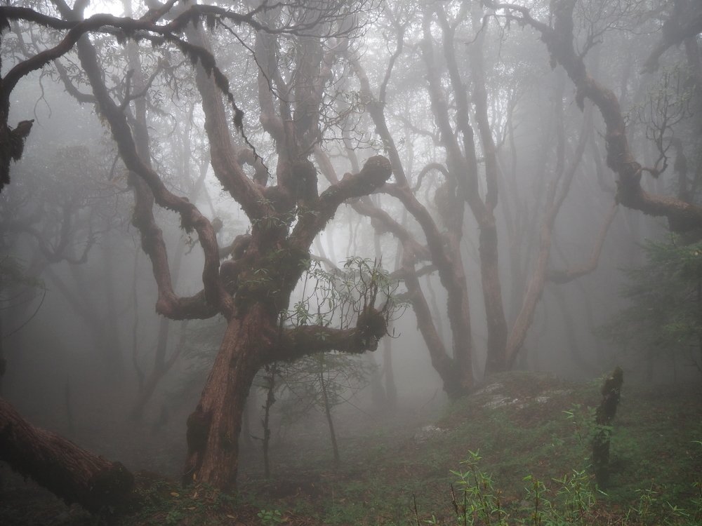 Photograph by Александр