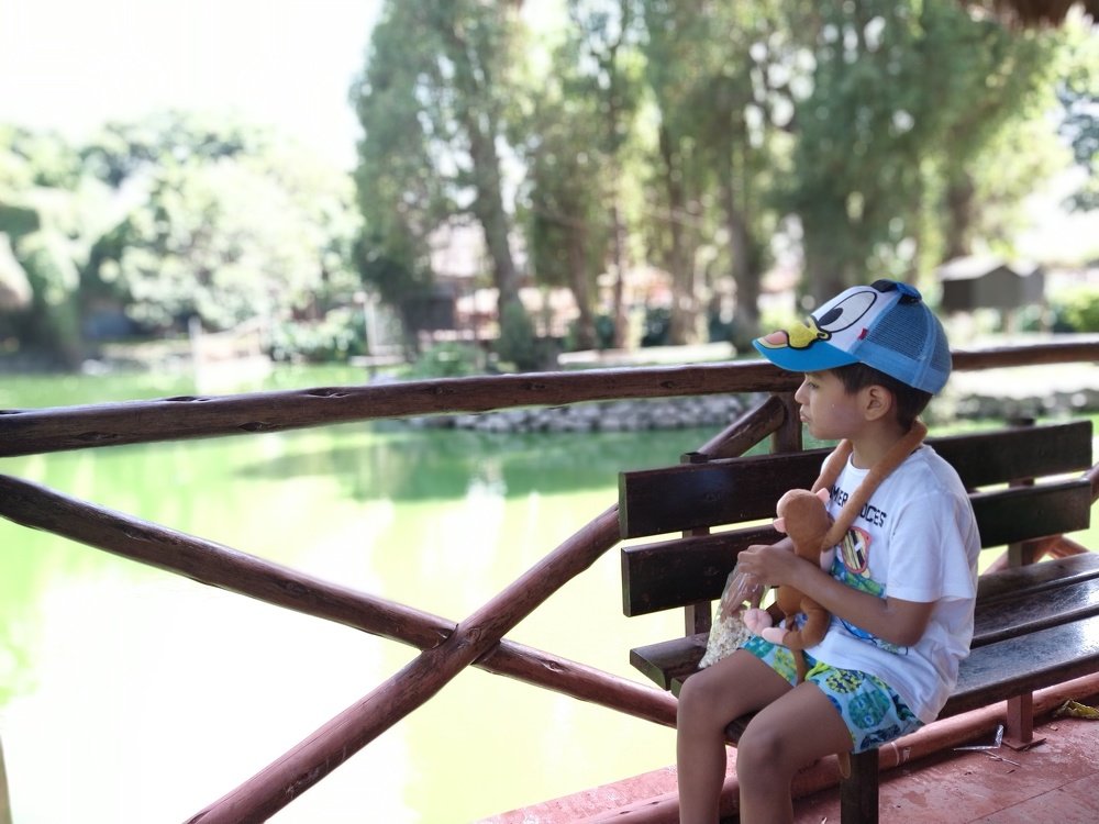 Photo #4473963