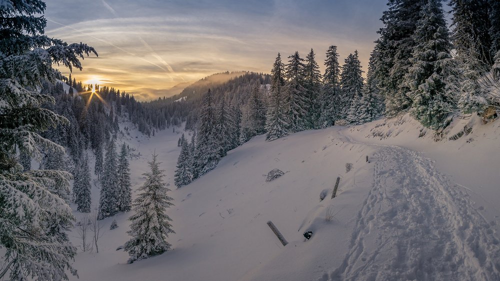 Photograph by Олег Мильбергер