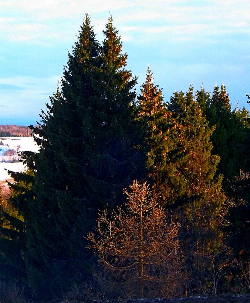 Photograph by Александр Бровкин