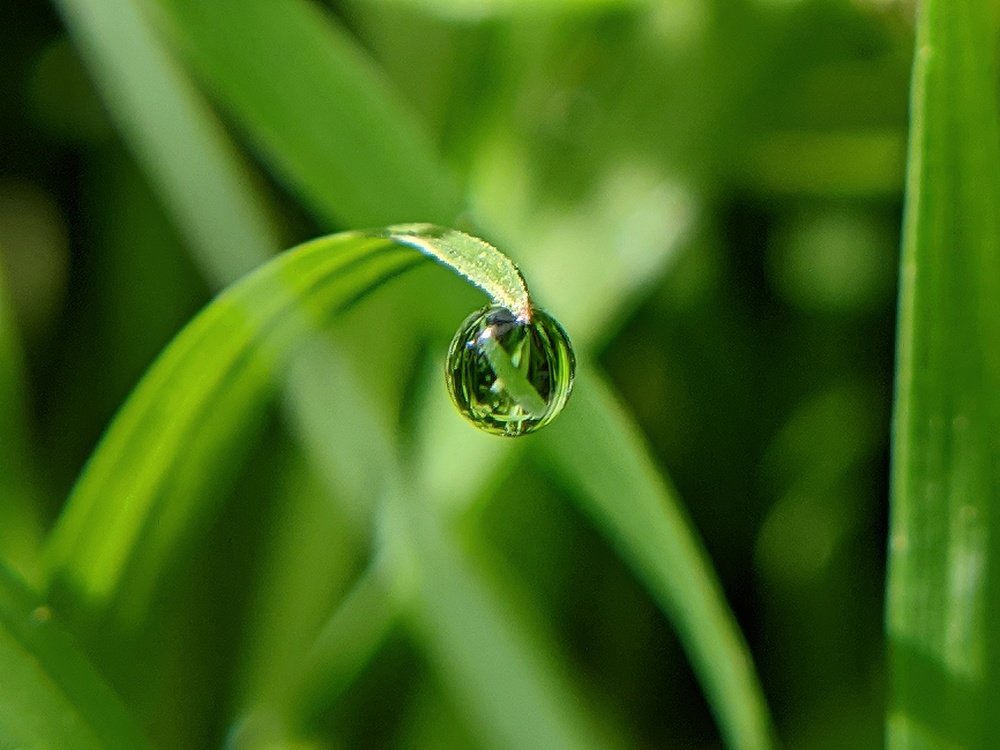 Photograph by Prakhar Sengar