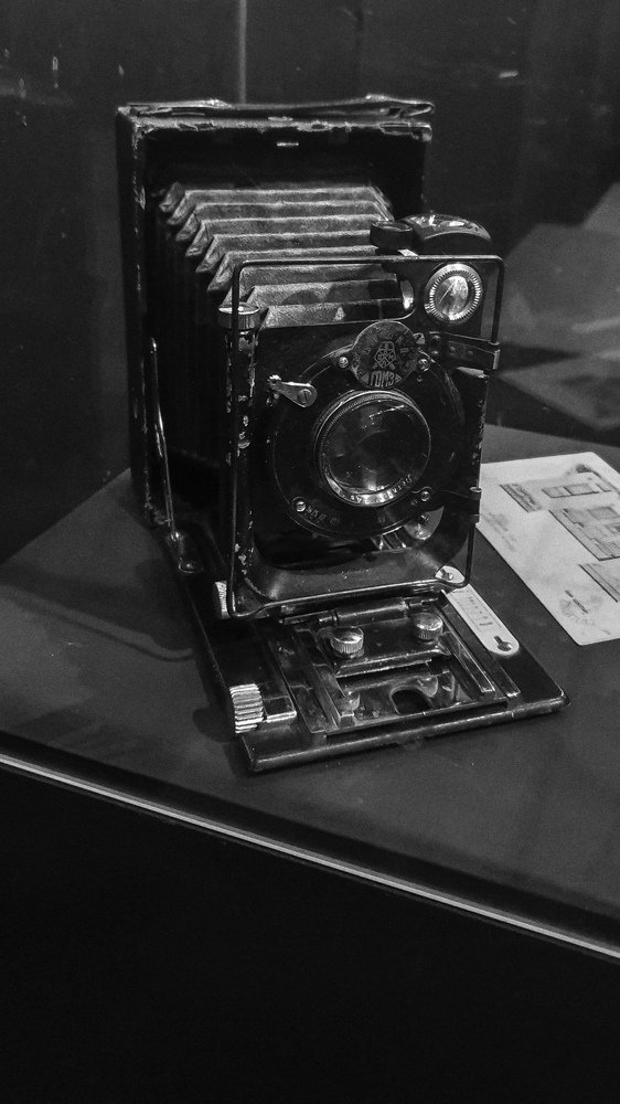 Photograph by Ольга