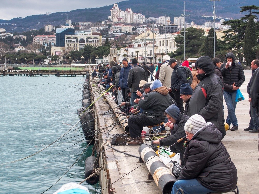 Photograph by mikhail goryachev