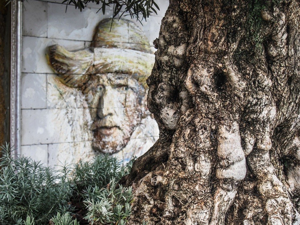 Photograph by mikhail goryachev