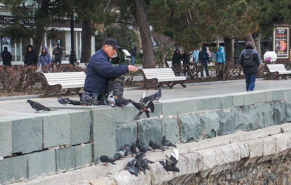 Photograph by mikhail goryachev